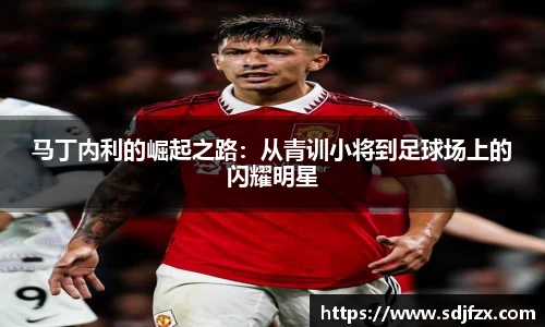 完美体育登录入口